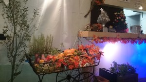 ハロウィンとクリスマスが共存 