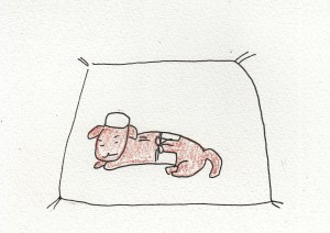 あるくんそば５ー３