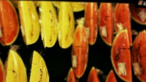 すいか、ダ！！！