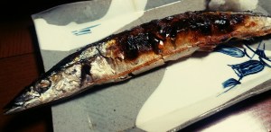 せっかち秋刀魚