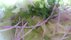 グリーンサラダ